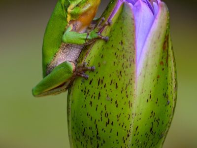 2022 - Finalists top 10