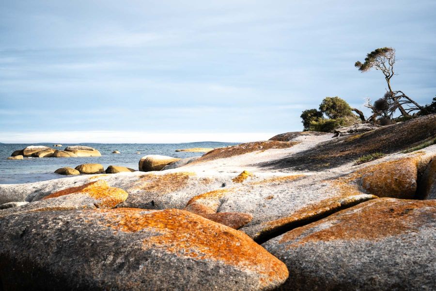 04 M Kay Hathaway Sawyers Bay Flinders Island