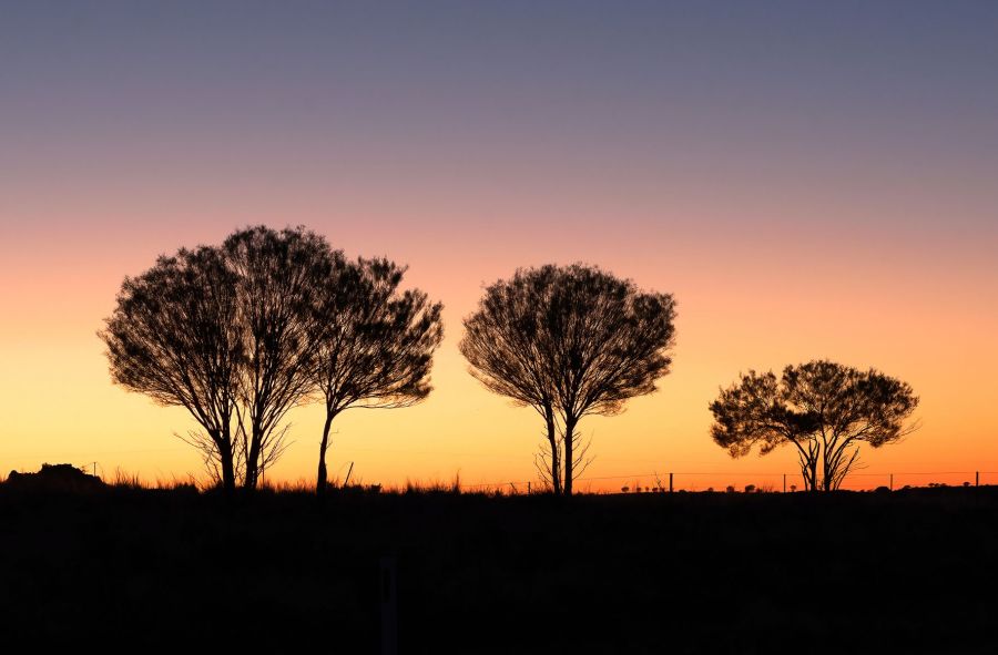 04 M Marg Edwards Broken Hill Sunrise