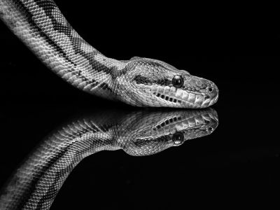 2023 - Finalists top 10