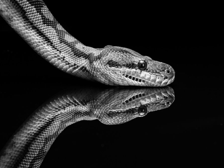 01st Greg McMillan Python Reflections