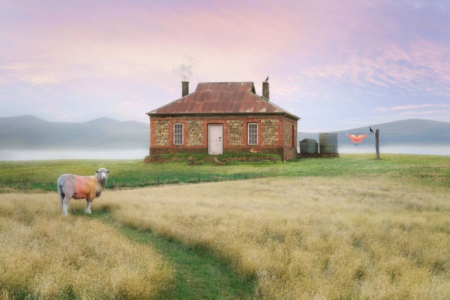 04th Trace O Rourke Home made