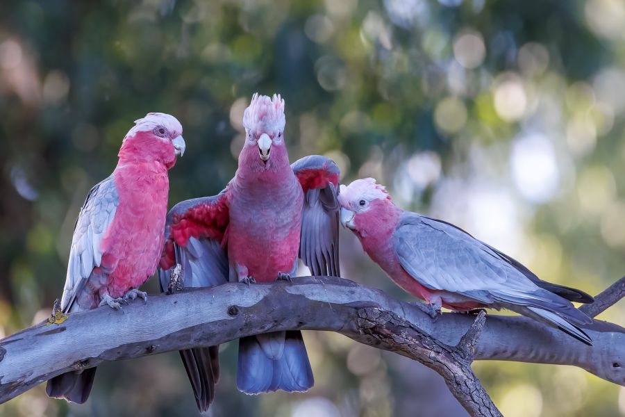 04 M Greg McMillan Family Time