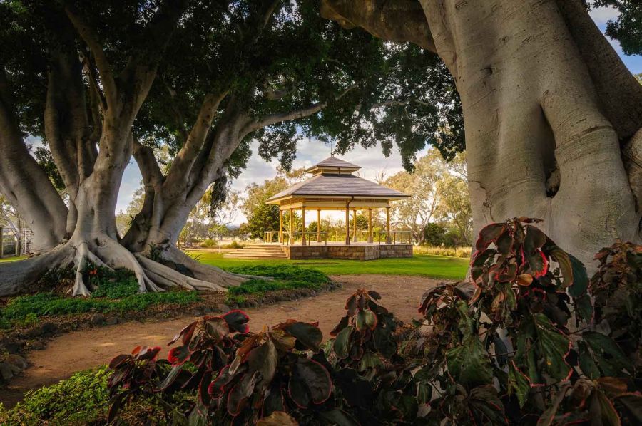 04 M Michael Moore The Rotunda