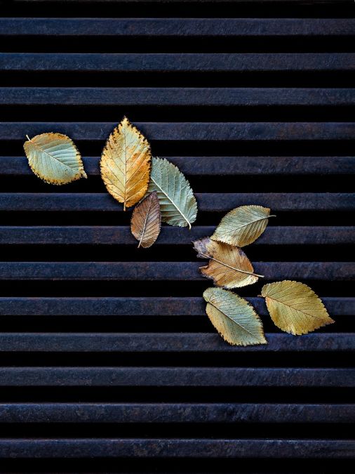 04 Mario Mario Mirabile That s just grate