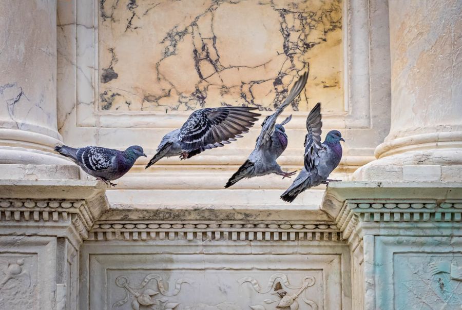 03rd Mario Mirabile Leap of faith