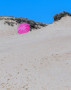 13 Gail Gee in the sand dunes   likes