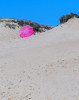 13 Gail Gee in the sand dunes   likes