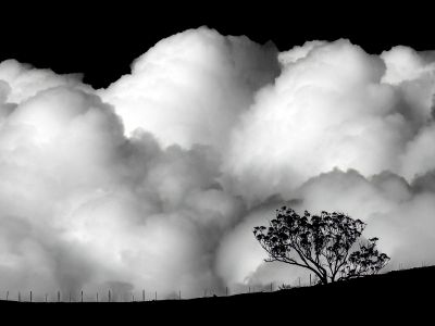 Black & White Biennial 2024 - Prints