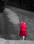 13 sue mcleod lady in red    likes