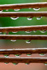 42 jane howie  likes raindrop abacus