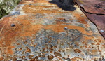 27 Brenda Jones rusty scape likes