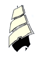 38th Sutherland Shire National Exhibition of Photography